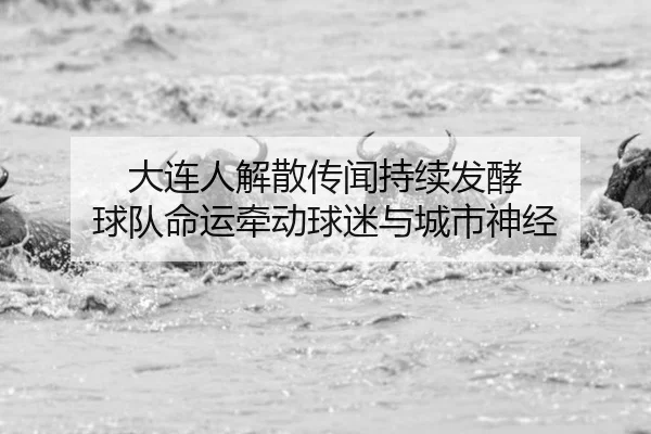 大连人解散传闻持续发酵 球队命运牵动球迷与城市神经